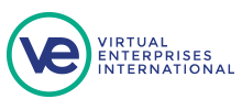 Virtual Enterprises International